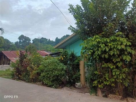 Countryside Village Bangkal Davao City .